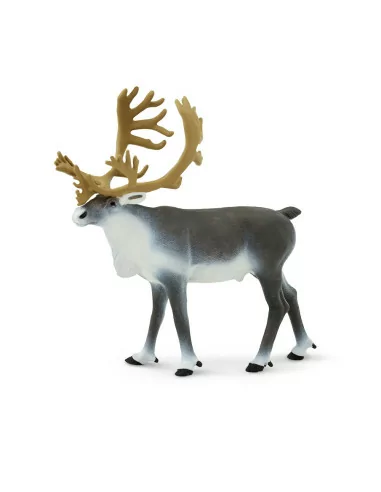 Safari Ltd. Sob polární