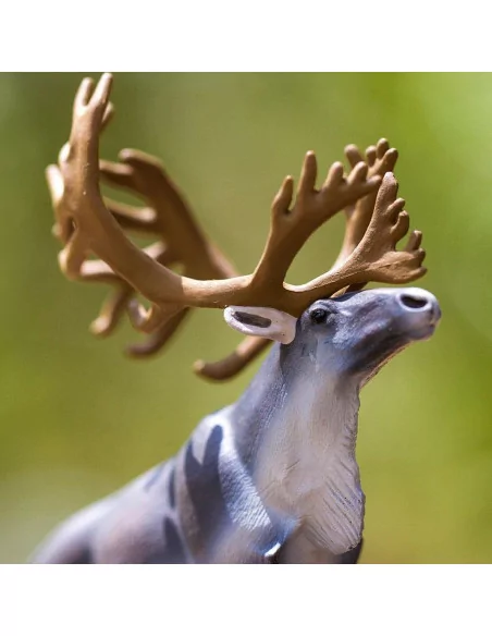 Safari Ltd. Sob polární