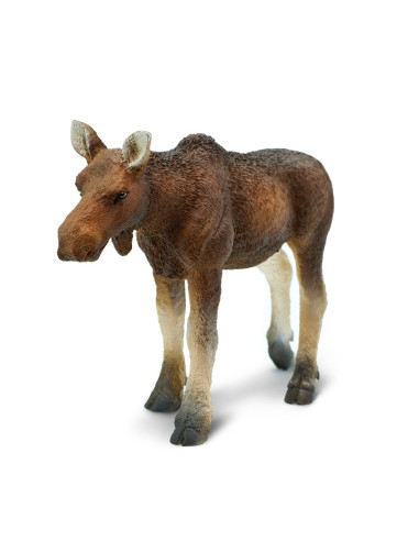 Safari Ltd. Samice losa evropského