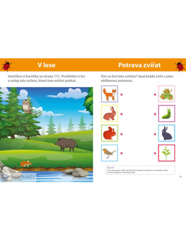 Můj velký sešit - Montessori objevuj svět