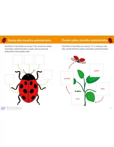 Můj velký sešit - Montessori objevuj svět