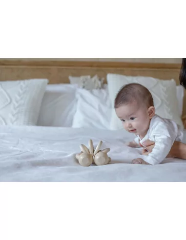 PlanToys Autíčko pro nejmenší - přírodní