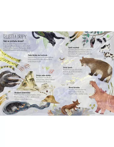 Velká kniha divoké havěti