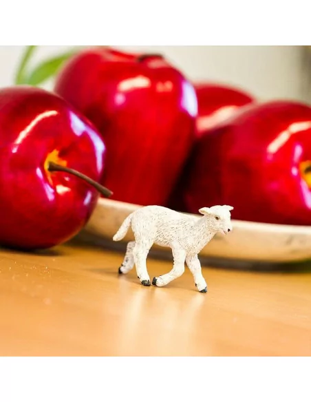 Safari Ltd. Ovce domácí