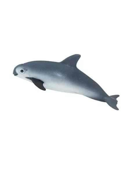 Safari Ltd. Figurka - Sviňucha kalifornská