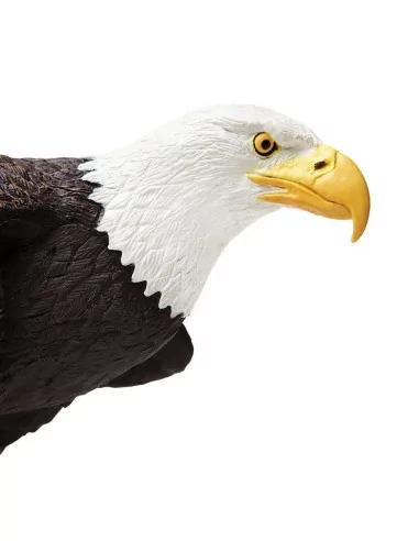 Safari Ltd. Orel bělohlavý