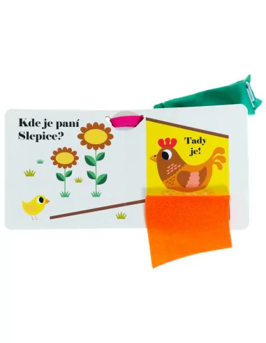 Kde je paní slepice?