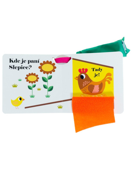 Kde je paní slepice?