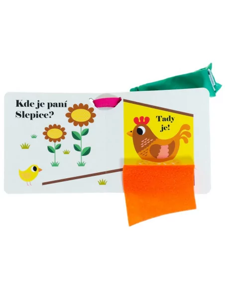 Kde je paní slepice?