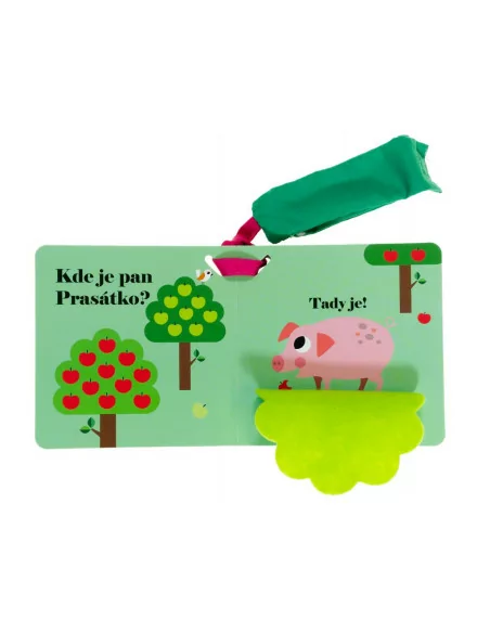 Kde je paní slepice?