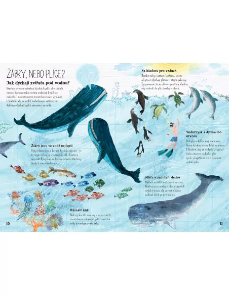 Velká kniha o mořské havěti