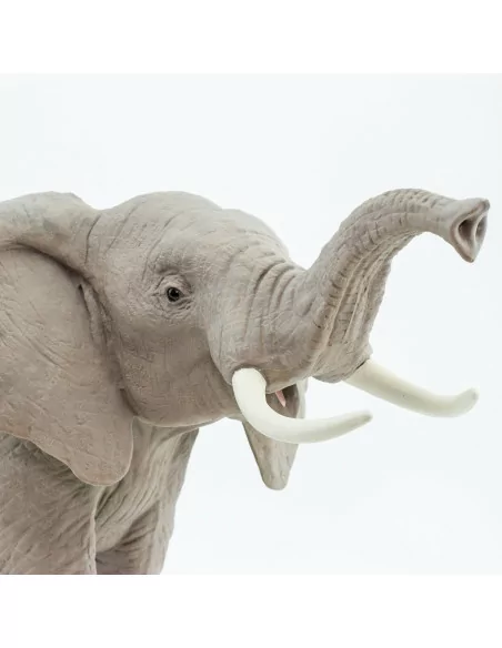 Safari Ltd. Slon africký