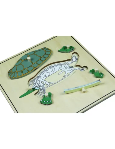 Moyo Montessori Puzzle s kostrou - želva