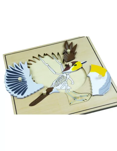 Moyo Montessori Puzzle s kostrou - pták