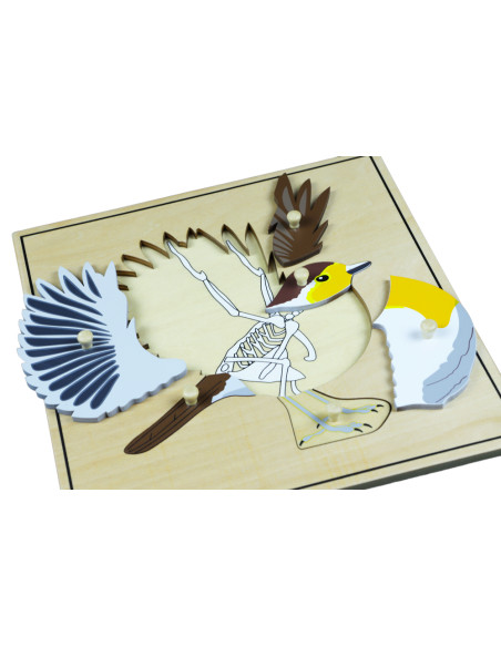 Montessori Puzzle s kostrou - ptak