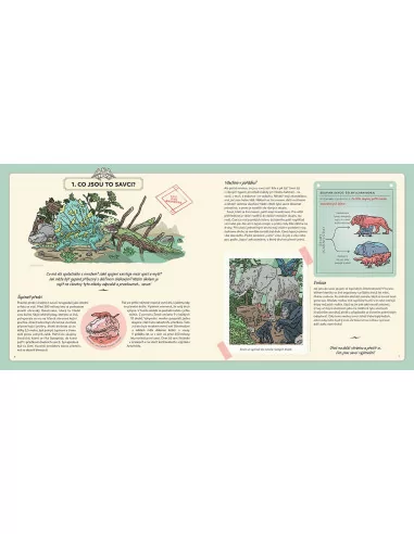 JIRI MODELS Objevitel - Savci