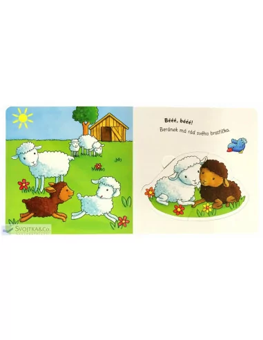 Kniha s puzzle - Na statku