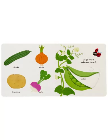 MiniPedie - Objevujeme svět! Zelenina