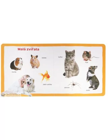 Mých prvních 100 slov