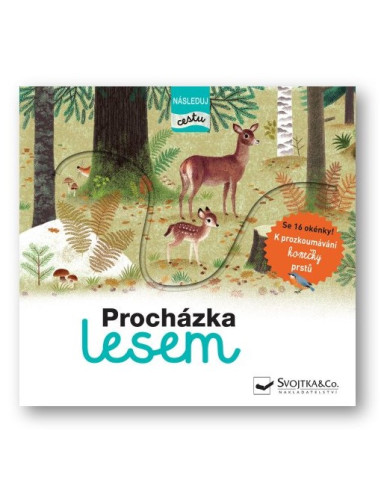 Procházka lesem