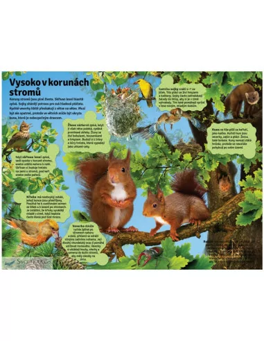 Velká kniha zvuků v lese