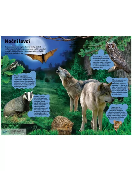 Velká kniha zvuků v lese