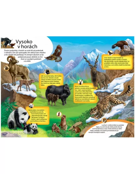 Velká kniha zvuků - Zvířata