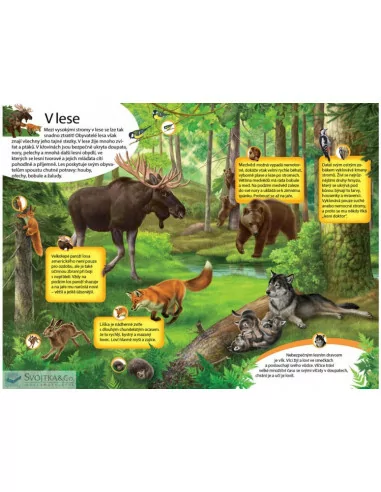 Velká kniha zvuků - Zvířata