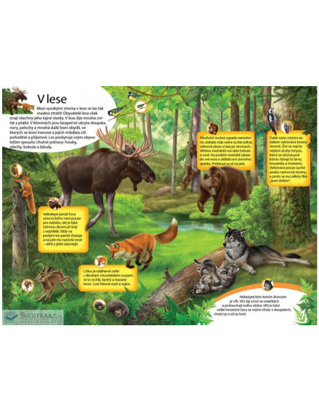 Velká kniha zvuků - Zvířata