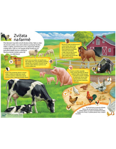 Velká kniha zvuků - Zvířata