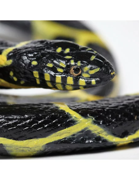 Safari Ltd. Korálovka pruhovaná