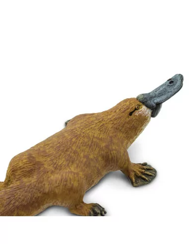 Safari Ltd. Ptakopysk podivný