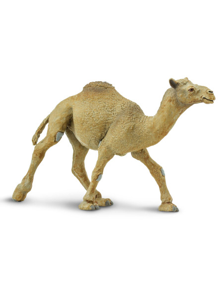 Safari Ltd. Velbloud jednohrbý