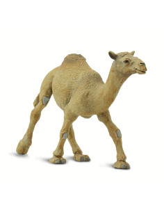 Safari Ltd. Velbloud jednohrbý