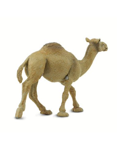 Safari Ltd. Velbloud jednohrbý