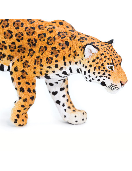 Safari Ltd. Jaguár