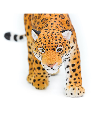 Safari Ltd. Jaguár