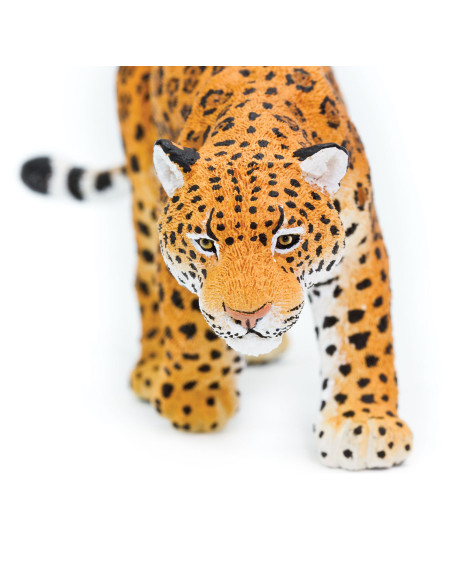 Safari Ltd. Jaguár