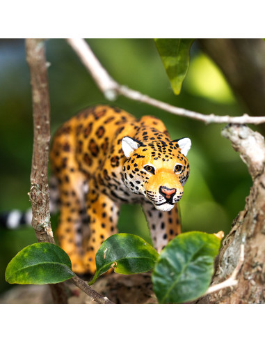 Safari Ltd. Jaguár