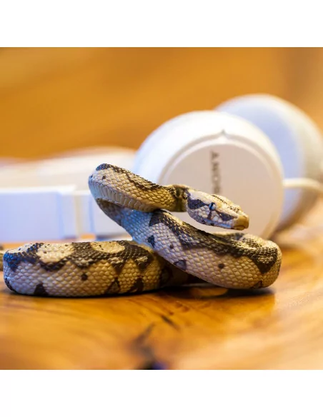 Safari Ltd. Hroznýš královský