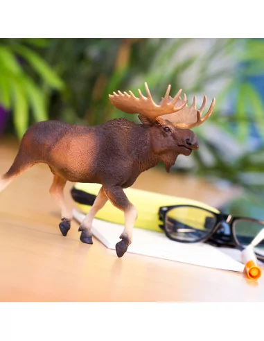 Safari Ltd. Los evropský