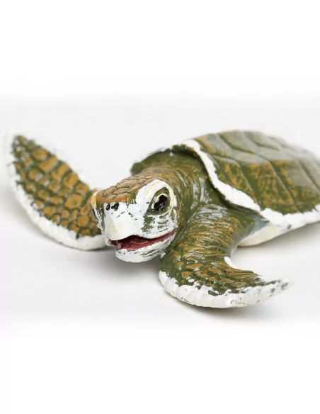 Safari Ltd. Mládě karety menší