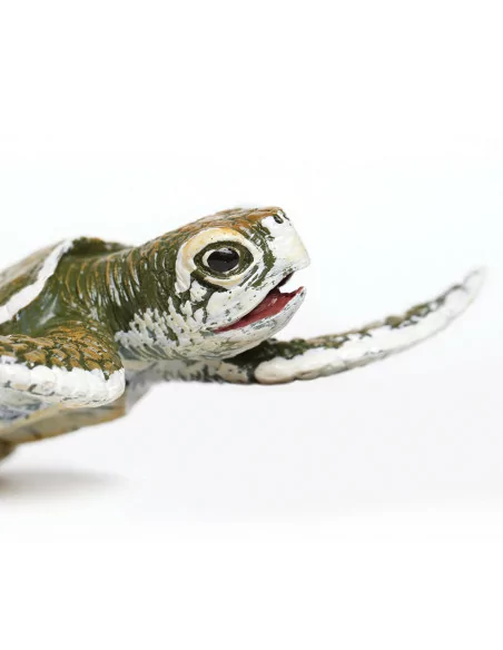 Safari Ltd. Mládě karety menší