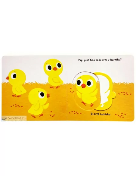 Objevujeme svět! Moje krásné barvy