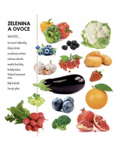 INFOA Hledej v obrázcích - Barvy a tvary