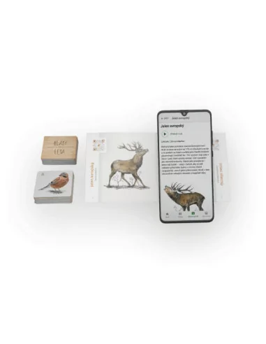 Lesní svět Zvukové Pexeso - Hlasy lesa