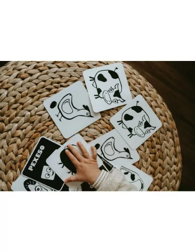 Kontrastní pexeso - karty statek