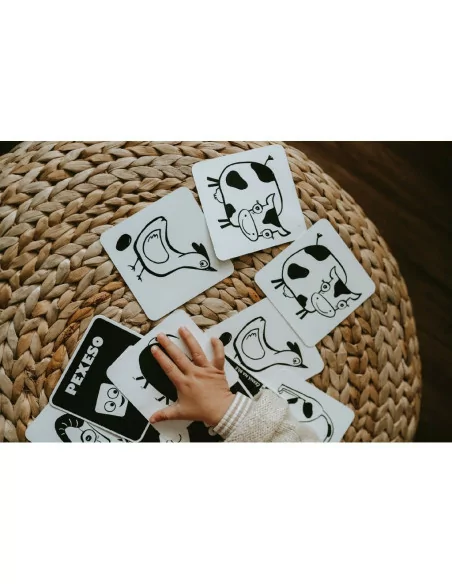 Kontrastní pexeso - karty statek