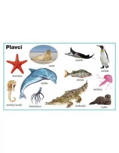 INFOA Moje první kniha - Zvířata