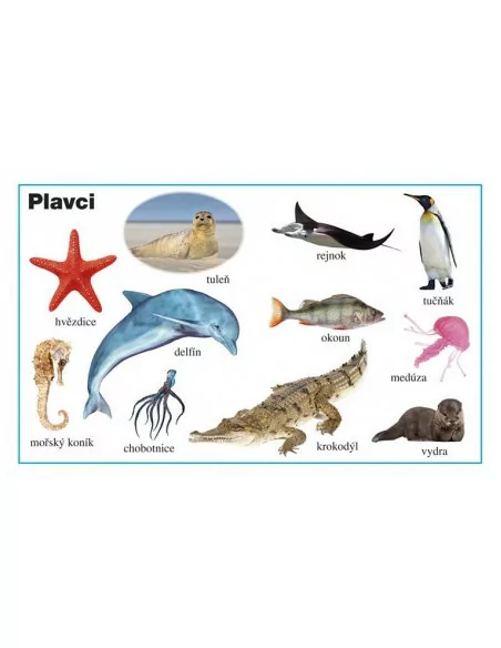 INFOA Moje první kniha - Zvířata